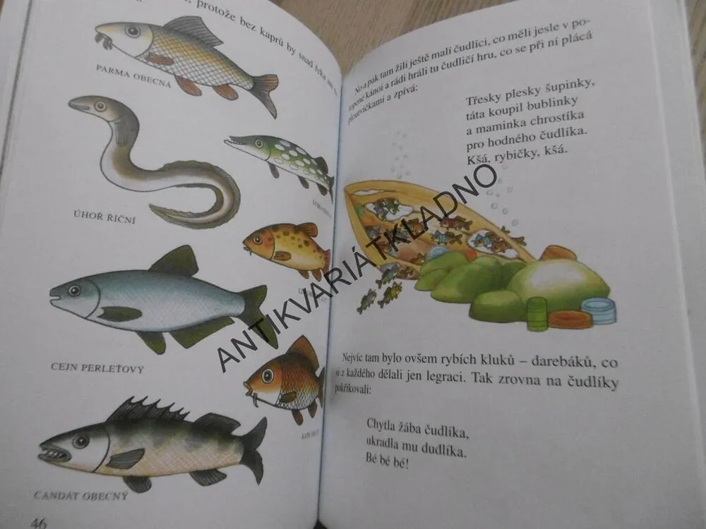 POHÁDKY DO POSTÝLKY, LJUBA ŠTÍPLOVÁ, **an