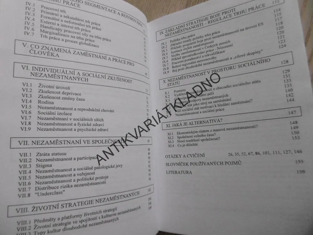 NEZAMĚSTNANOST JAKO SOCIÁLNÍ PROBLÉM, PETR MAREŠ, **an