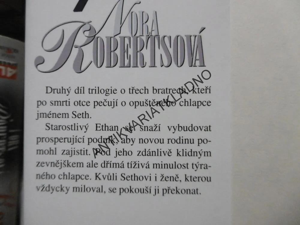 BOUŘLIVÝ PŘÍLIV, NORA ROBERTSOVÁ, **an