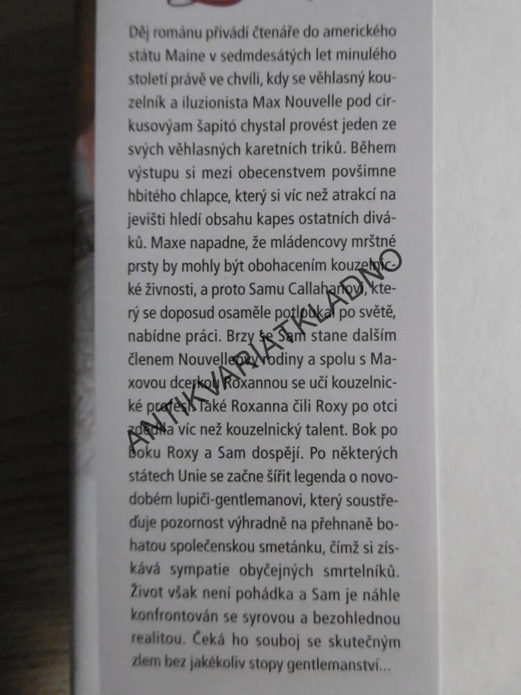 ZLODĚJKA, NORA ROBERTSOVÁ, **an