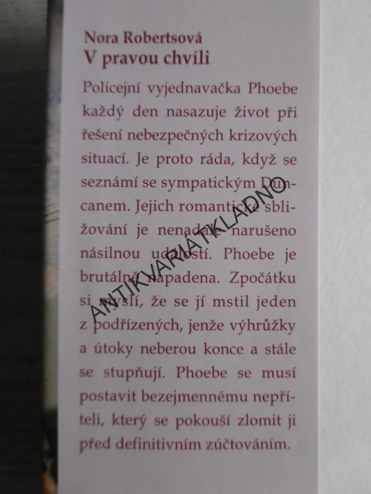 V PRAVOU CHVÍLI, NORA ROBERTSOVÁ, **an