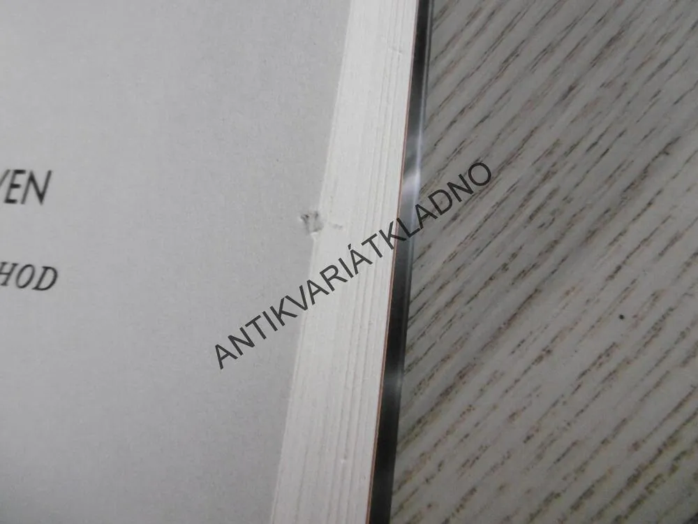VČELÍ KRÁLOVNA, LAURA RUBYOVÁ, **an