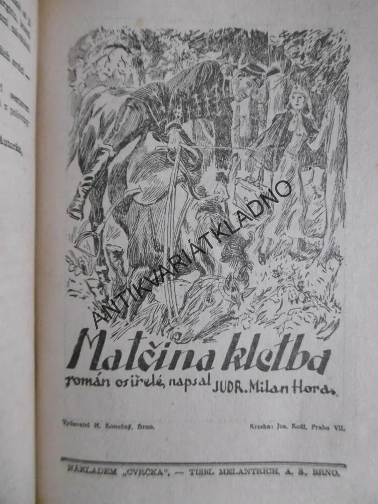 DĚVČE PERIFERIE, MANŽELSKÉ PEKLO, MATČINA KLETBA, VOŘÍŠKOVÁ, **an