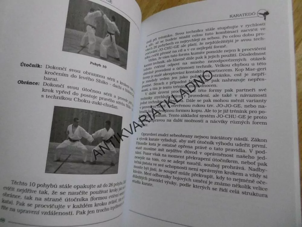 KARATÉDO, JAN GYURIS, TECHNIKY, HISTORIE, FILOZOFIE