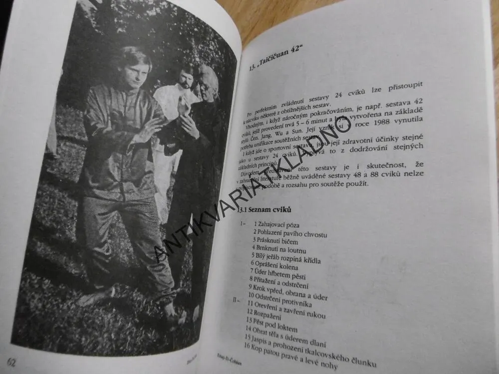 TCHAJ-ŤI-ČCHÜAN, TRADIČNÍ ČÍNSKÉ CVIČENÍ PRO ZDRAVÍ A SEBEOBRANU, TURNEBER,