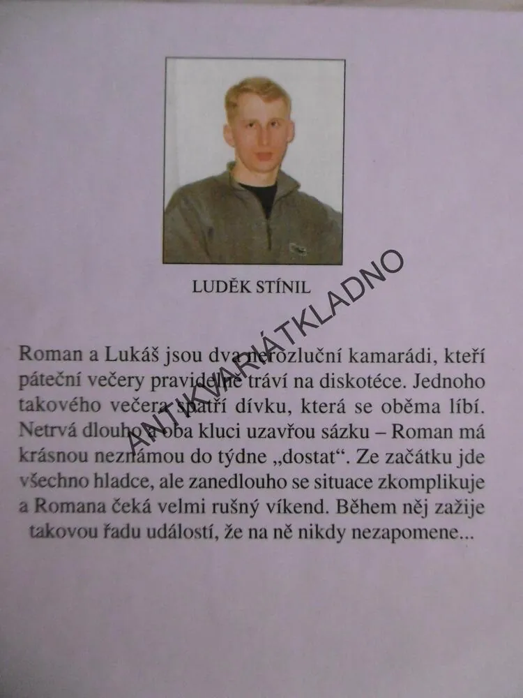 SÁZKA O LÁSKU, LUDĚK STÍNIL, **an