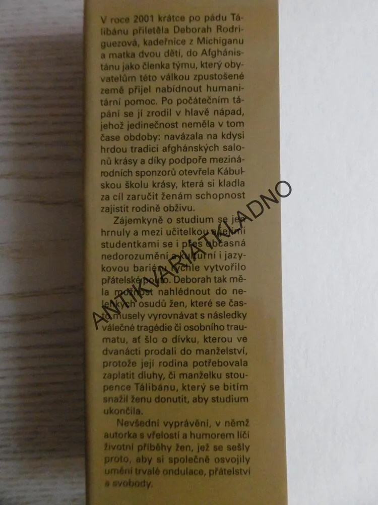 KÁBULSKÁ ŠKOLA KRÁSY, DEBORAH RODRIGUEZOVÁ, **an