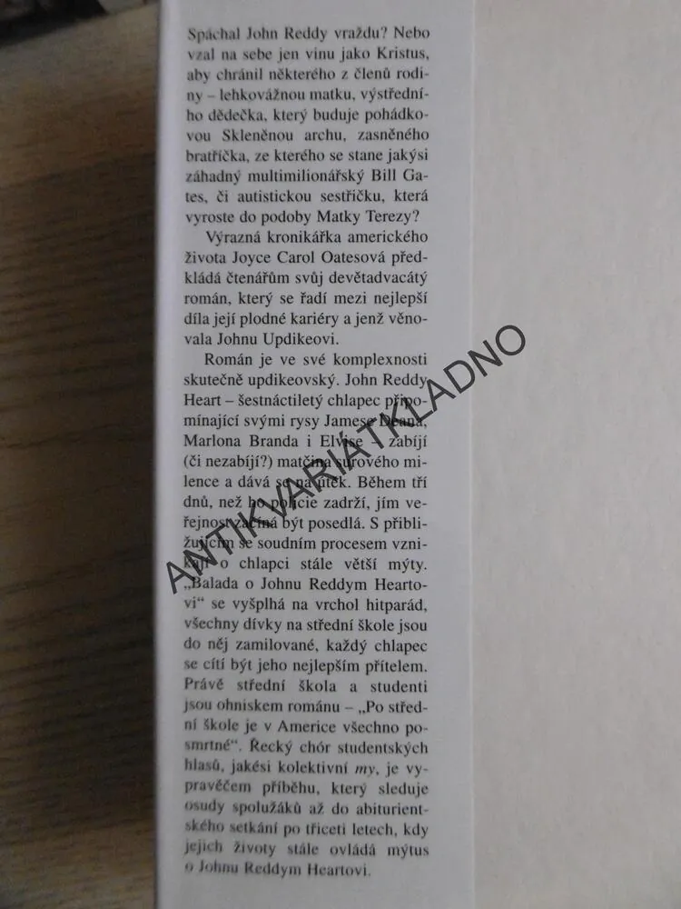 AMERICKÁ BALADA, JOYCE CAROL OATESOVÁ, **an