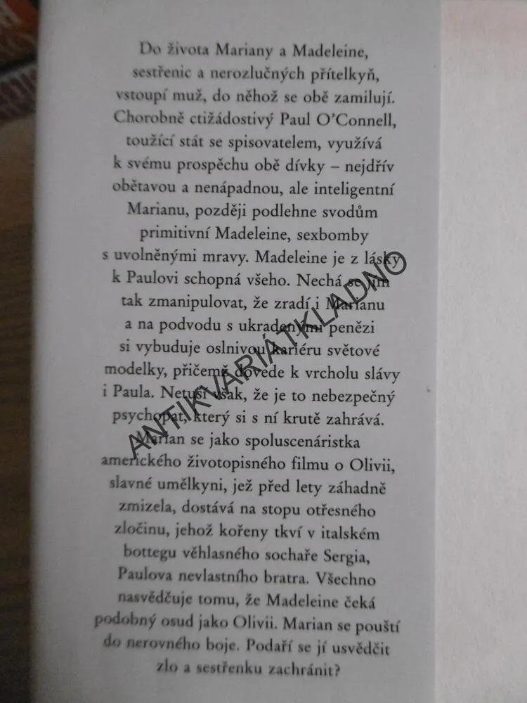 UKRADENÉ ZAČÁTKY, SUSAN LEWIS, **an