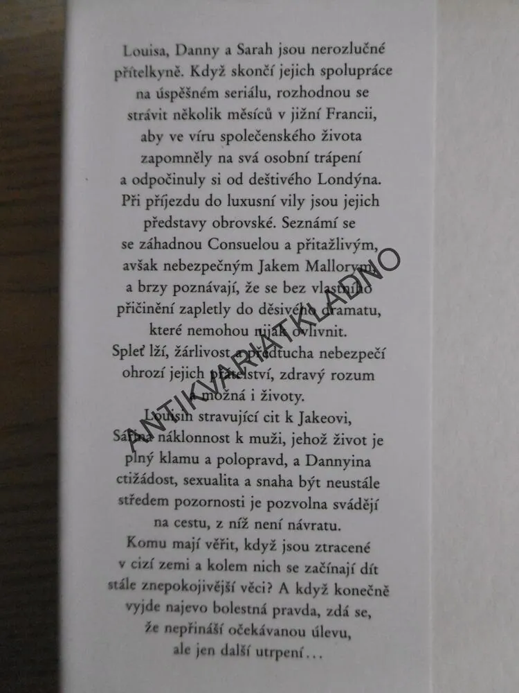 LETNÍ ŠÍLENSTVÍ, SUSAN LEWIS, **an