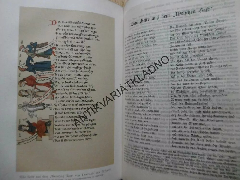 HISTORIE NĚMECKÉ LITERATURY, NĚMECKY,15 LITOGRAFIE, 1904