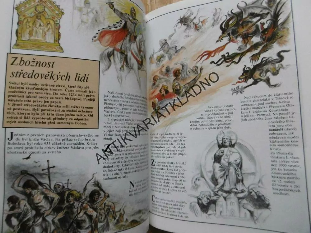 ČESKÉ ZEMĚ ZA POSLEDNÍCH PŘEMYSLOVCŮ, DĚJINY,BÍGL