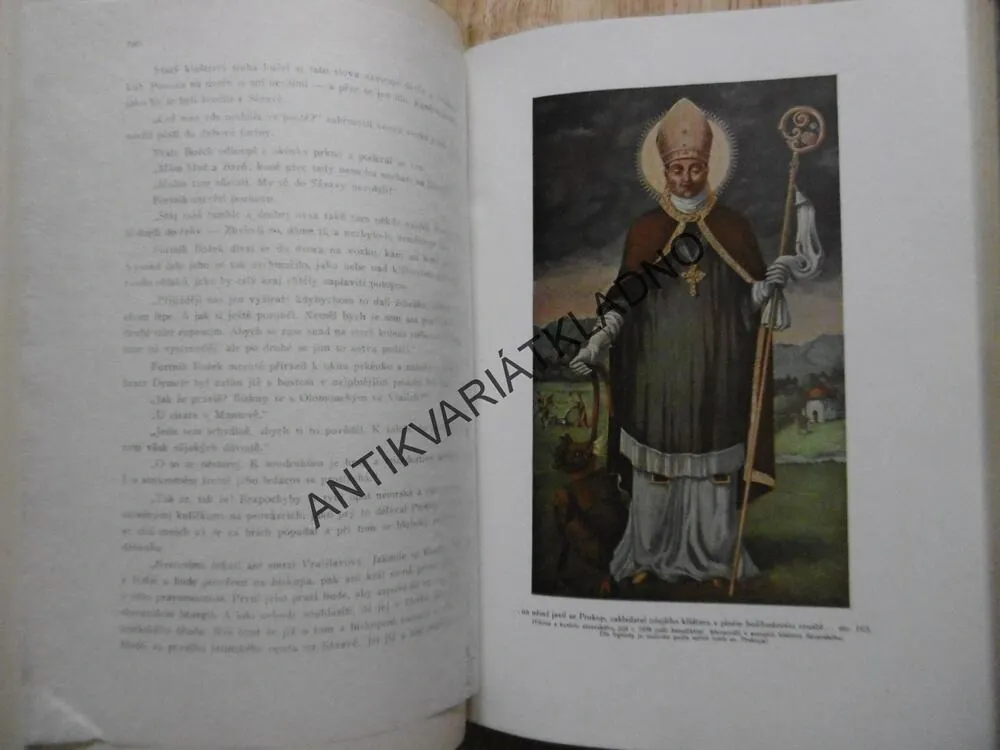 MLÁDEŽI Z DOBY NEJSTARŠÍ, VÁCLAV BENEŠ TŘEBÍZSKÝ, **an