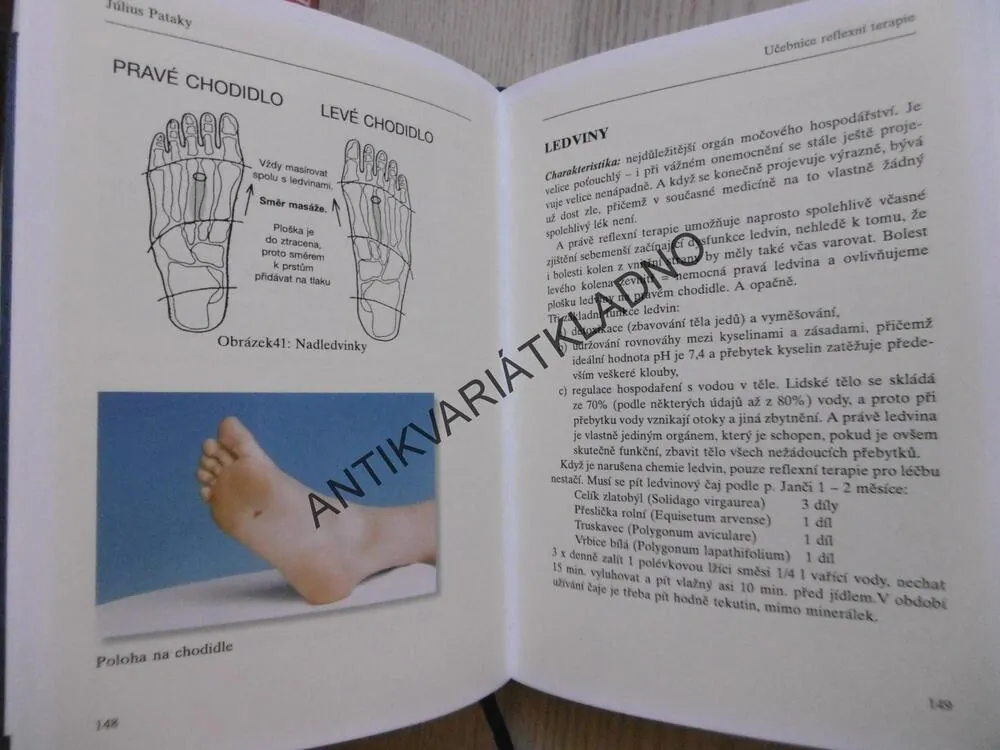 UČEBNICE REFLEXNÍ TERAPIE, JÚLIUS PATAKY, **an