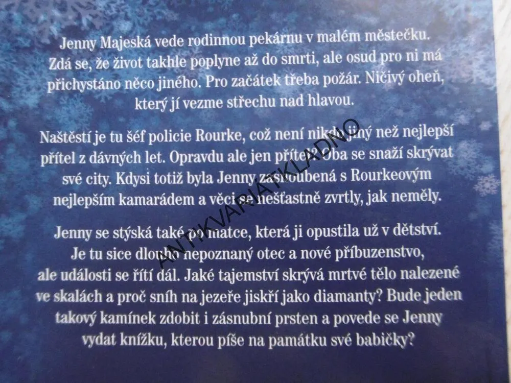 DIAMANTOVÝ SNÍH, SUSAN WIGGSOVÁ, **an