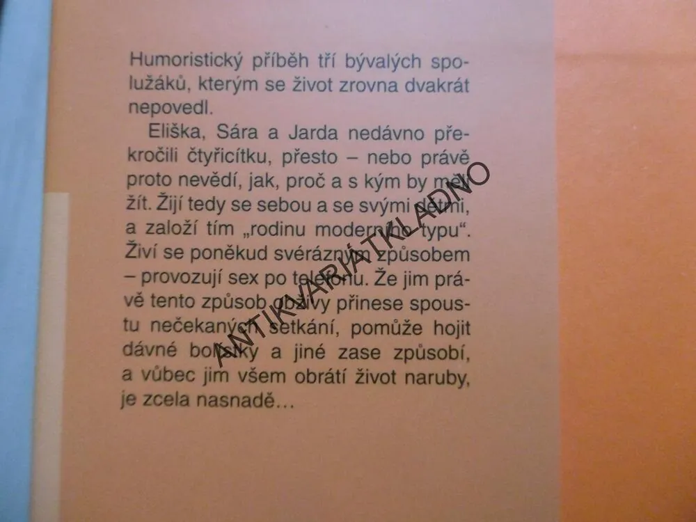 NEZAVĚŠUJTE SE, IRENA OBERMANNOVÁ, **an