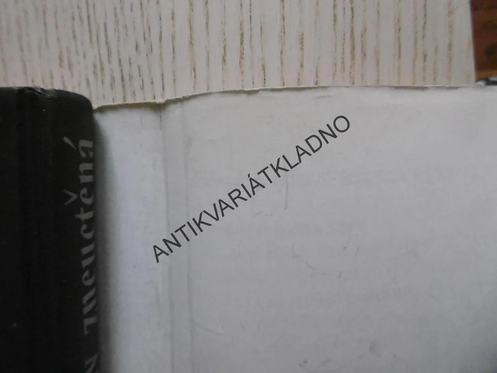 NAVŽDY ZNEUCTĚNÁ, GERMAINE AZIZ, **an