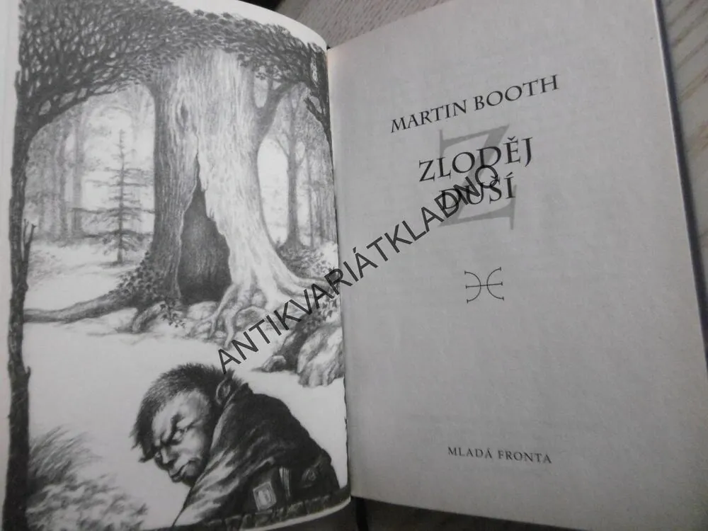 ZLODĚJ DUŠÍ, MARTIN BOOTH, **an
