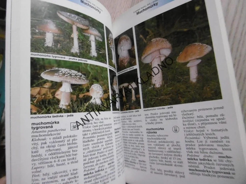 HOUBY, URČOVÁNÍ, POZNÁVÁNÍ, SBÍRÁNÍ, EDMUND GARNWEIDNER,**an