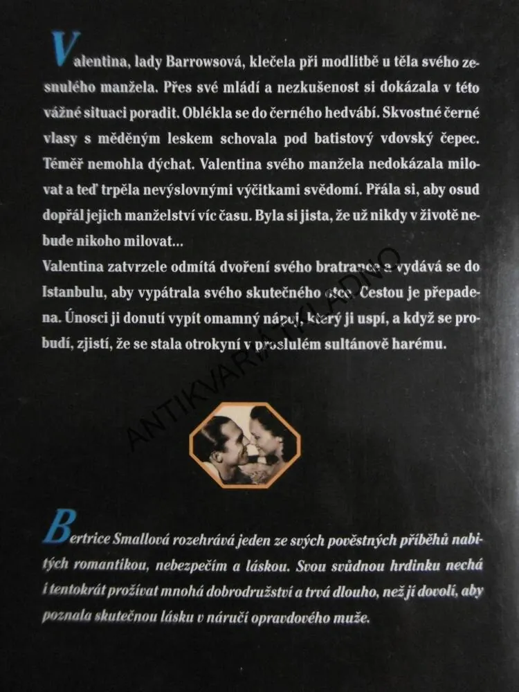 NALEZENÍ ZTRACENÉ LÁSKY, BERTRICE SMALLOVÁ, **an