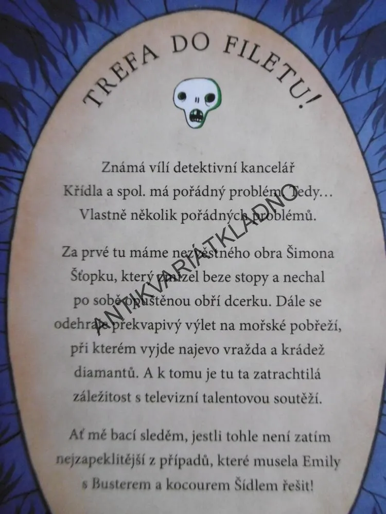 ZMIZENÍ ŠIMONA ŠŤOPKY, SALLY GARDNEROVÁ, **an