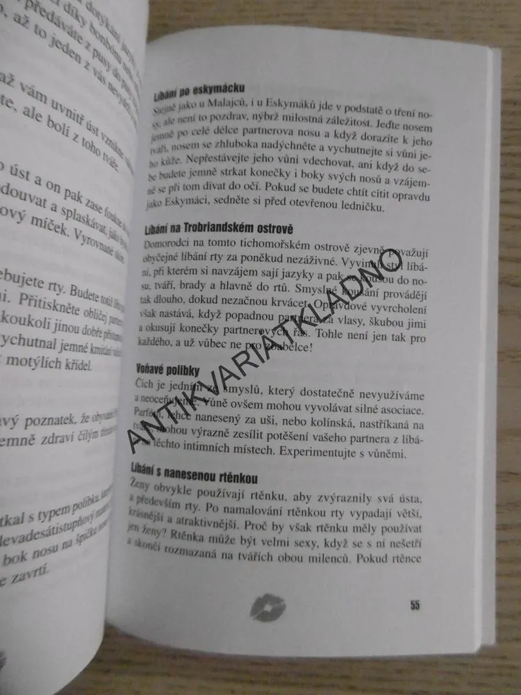 KOMPLETNÍ PRŮVODCE LÍBÁNÍM, NICK FISHER, **an