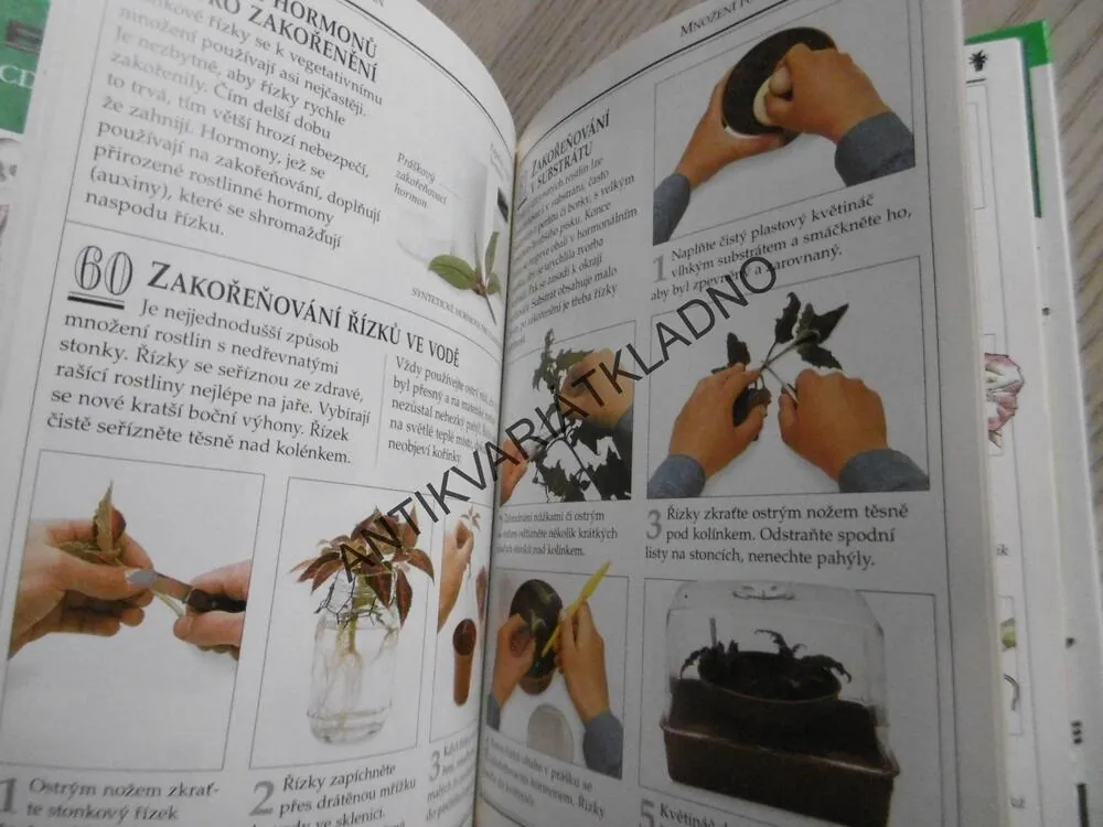 POKOJOVÉ ROSTLINY, 101 PRAKTICKÝCH RAD, tvrdá vazba, **an