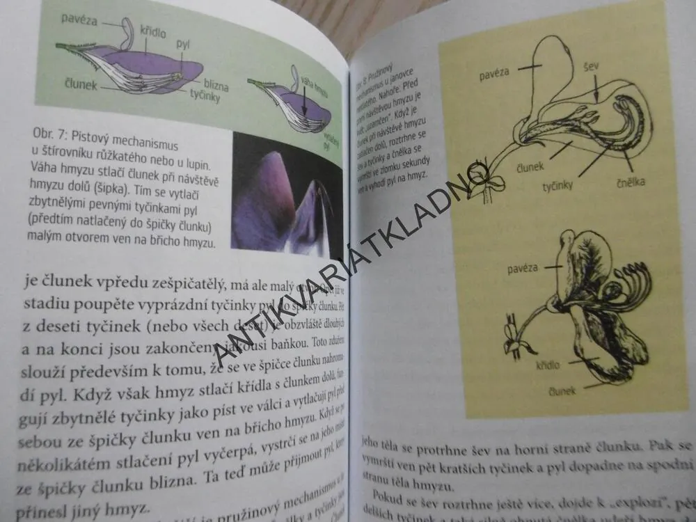OBDIVUHODNÁ TAJEMSTVÍ ZE SVĚTA PŘÍRODY, ROSTLINY, JUNKER,, **an