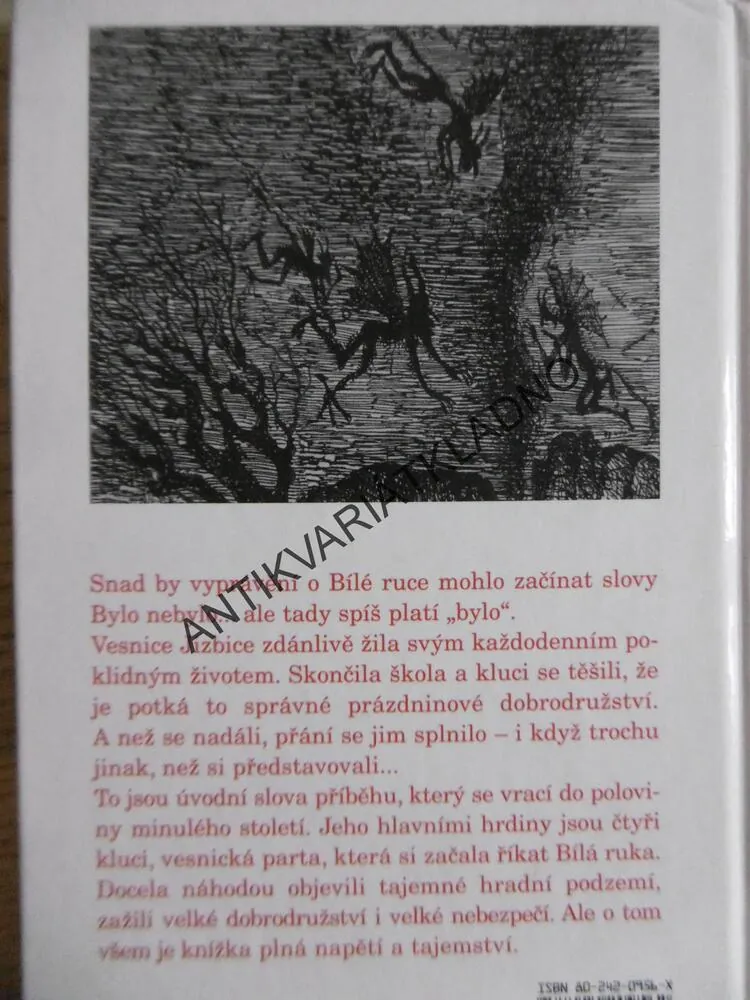 BÍLÁ RUKA, ZDENĚK KÁRNÍK, **an