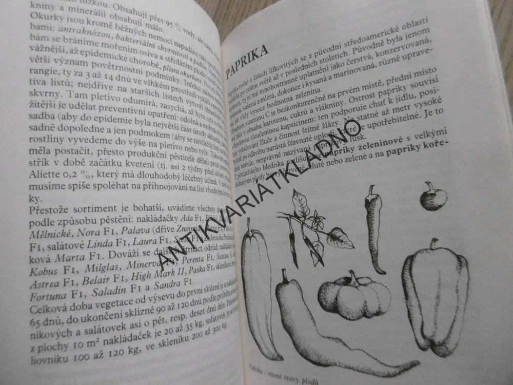 PĚSTUJEME ZELENINU, STANISLAV PELEŠKA, **an