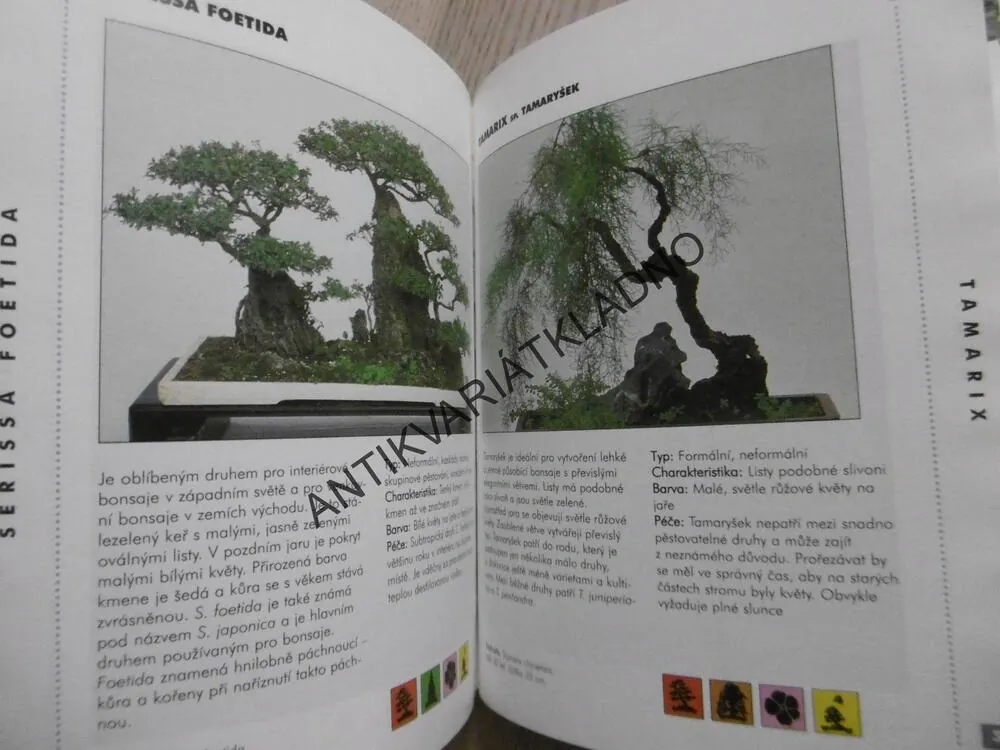 BONSAJE, **an