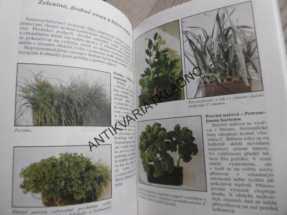 PĚSTUJEME DOMA KVĚTINY, ORCHIDEJE, ZELENINU, HOUBZ, TOMÁŠ SYROVÁTKA, **an
