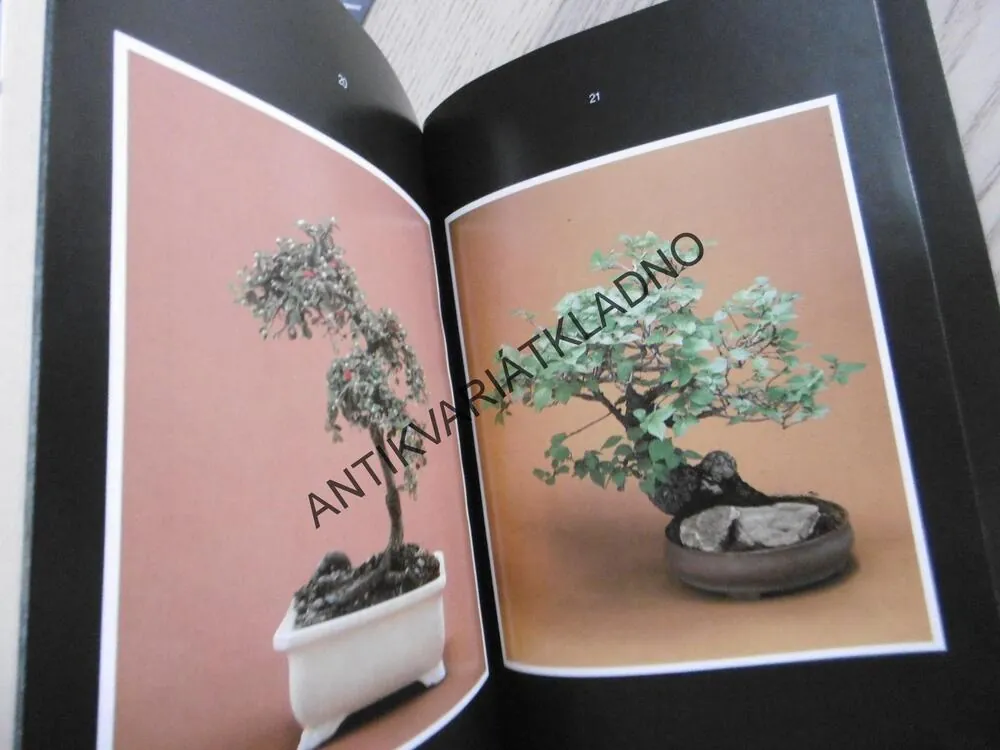 BONSAI, K. J. ŠTOLC, **an