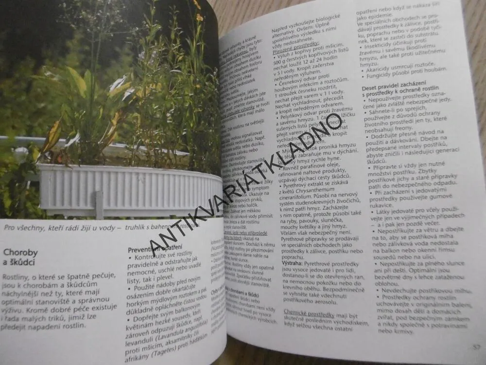 BALKONOVÉ KVĚTINY V KVĚTINÁČÍCH, TRUHLÍCÍCH A ZÁVĚSNÝCH NÁDOBÁCH, MARTIN WEIMAR, **an