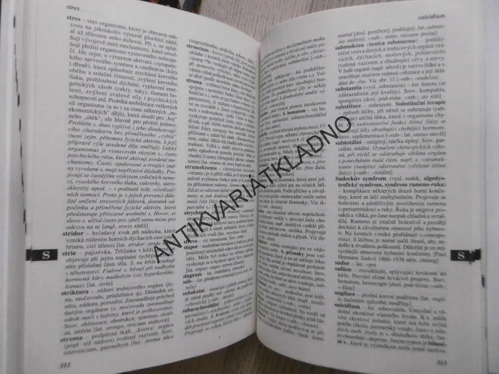 PRAKTICKÝ SLOVNÍK MEDICÍNY, **an
