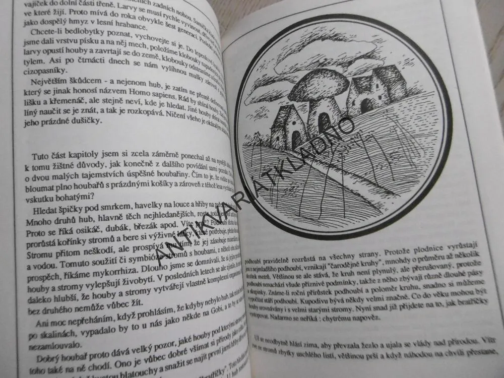 HOUBAŘŮV ROK, ZDENĚK KLUZÁK, HOUBY, **an