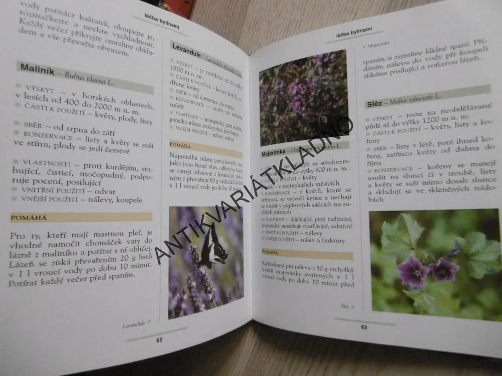 LÉČBA BYLINAMI, LAURA MANTOVANI, **an