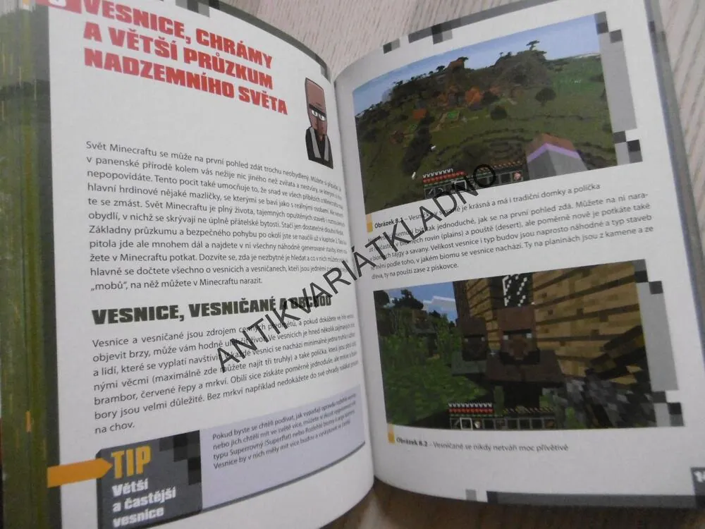 OVLÁDNI SVĚT MINECRAFTU, YOUTUBER PEDRO, MINECRAFT, **an
