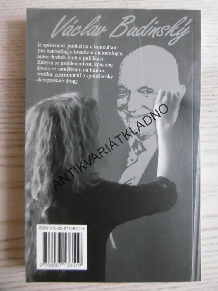 GYMNÁZIUM, VÁCLAV BUDINSKÝ, **an