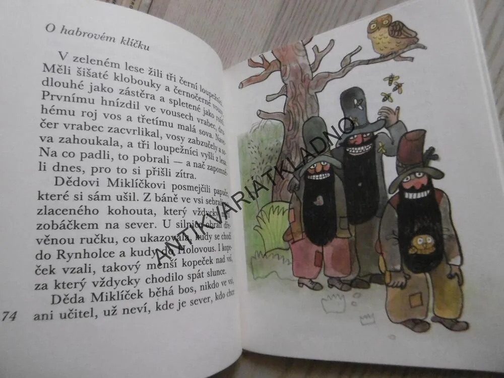 KOTĚ Z KOCOURKOVA, VÁCLAV ČTVRTEK, **an