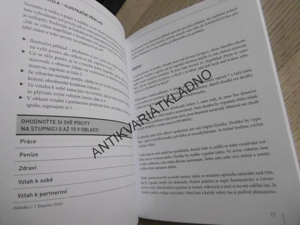 PRACOVNÍ SEŠIT K EMOČNÍM ROVNICÍM, ALEŠ KALINA, **an