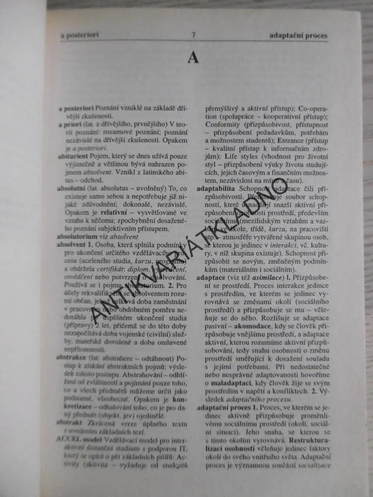VÝKLADOVÝ SLOVNÍK - LIDSKÉ ZDROJE, ZDENĚK PALÁN, **an