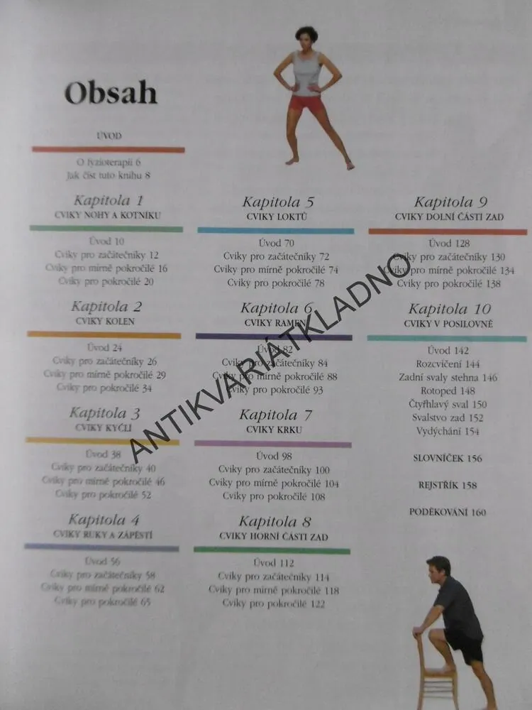 LÉČBA POHYBEM, KATE SHEEYOVÁ, **an