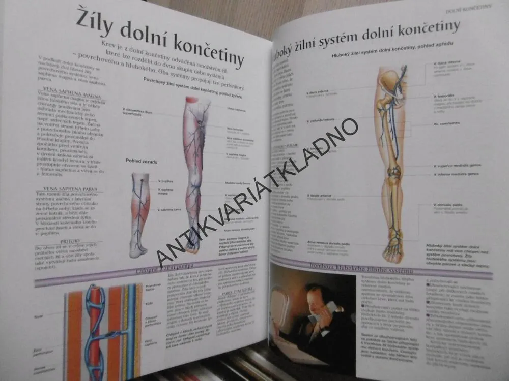 LIDSKÉ TĚLO, ATLAS ANATOMIE ČLOVĚKA, **an