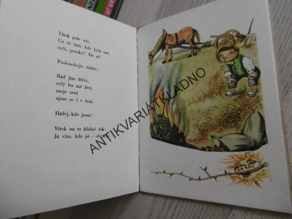 VÍTEK HÁDÁ DOBŘE, FRANTIŠEK HRUBÍN, **an