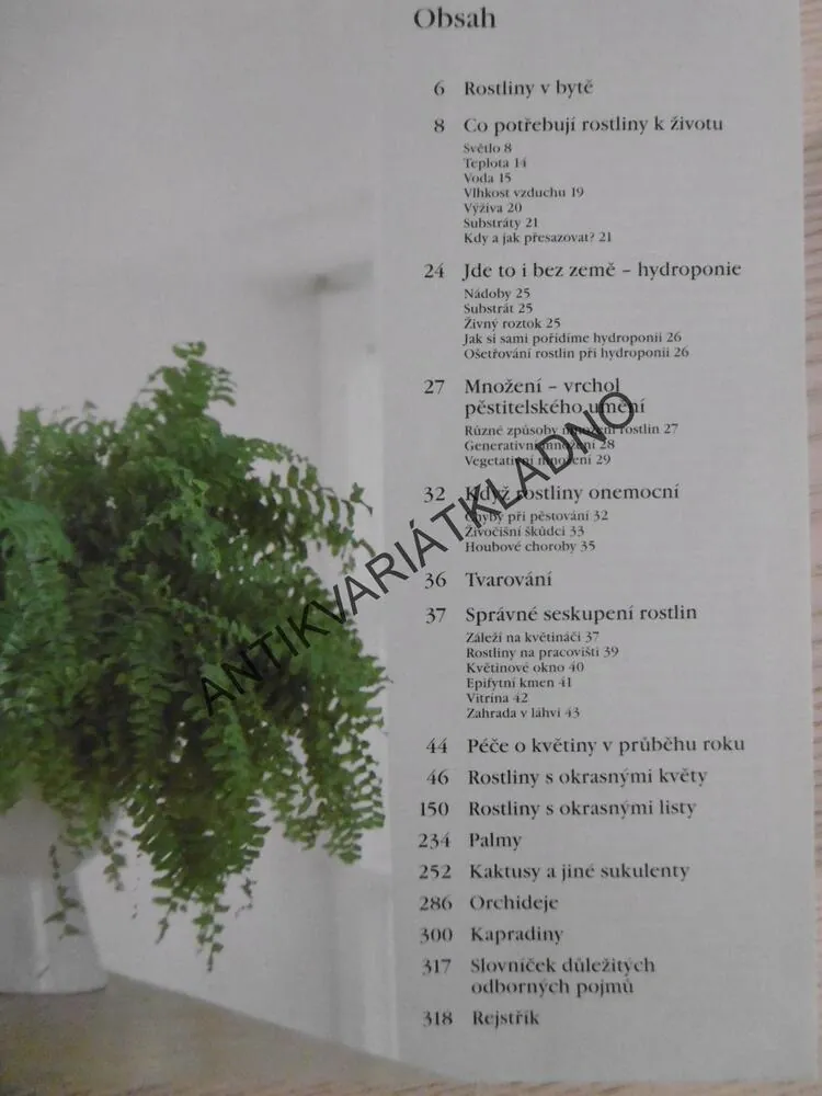 BYDLÍME S KVĚTINAMI, MARGOT SCHUBERTOVÁ, **an