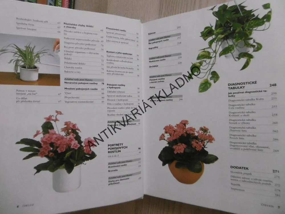 JAK PĚSTOVAT POKOJOVÉ ROSTLINY, JÜRGEN WOLF, **an