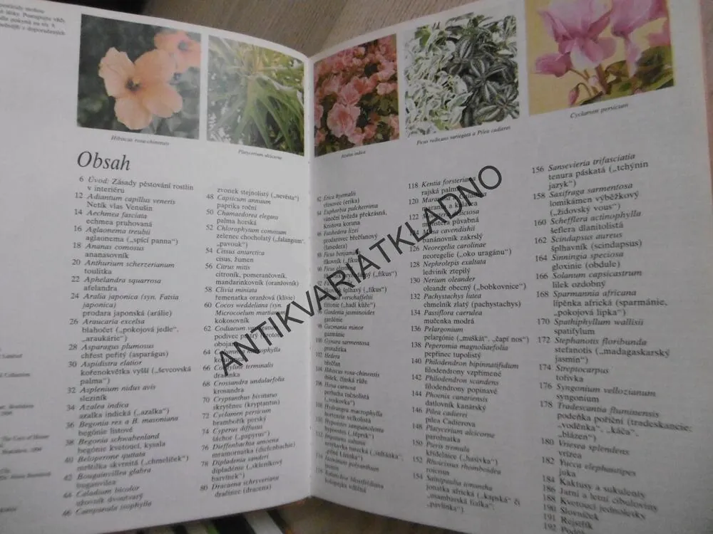 PÉČE O POKOJOVÉ ROSTLINY, DAVID LONGMAN, **an