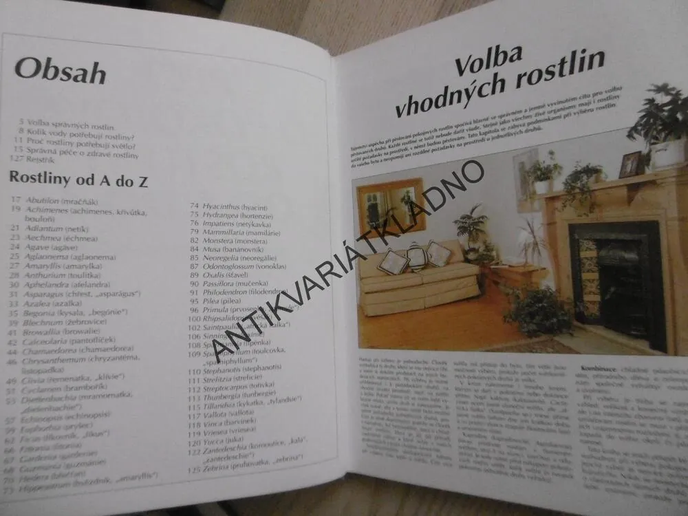 PÉČE O POKOJOVÉ ROSTLINY OD A DO Z, ANNA MARIE SCHWARZBACHOVÁ, **an