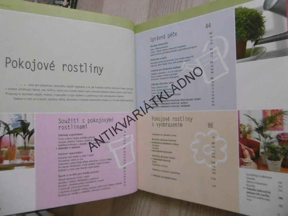 POKOJOVÉ ROSTLINY JAK JE NEZNÁTE, KARIN GREINER, ANGELIKA WEBEROVÁ, **an